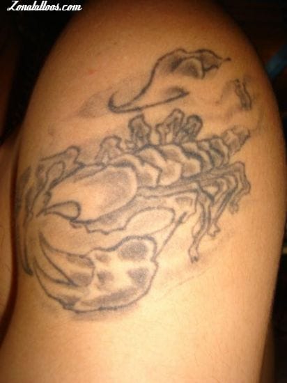 Tattoo photo Scorpions, Insects