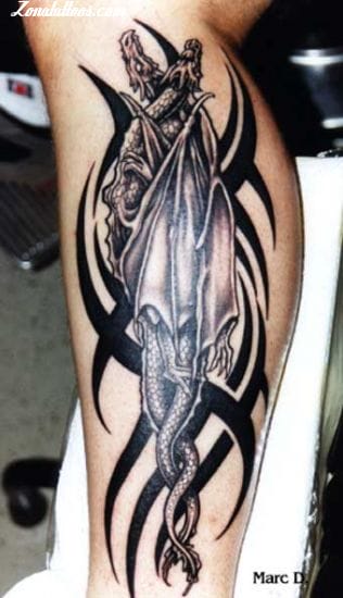 Foto de tatuaje Tribales, Dragones, Fantasía