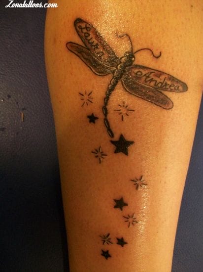 Tattoo photo Dragonflies, Insects