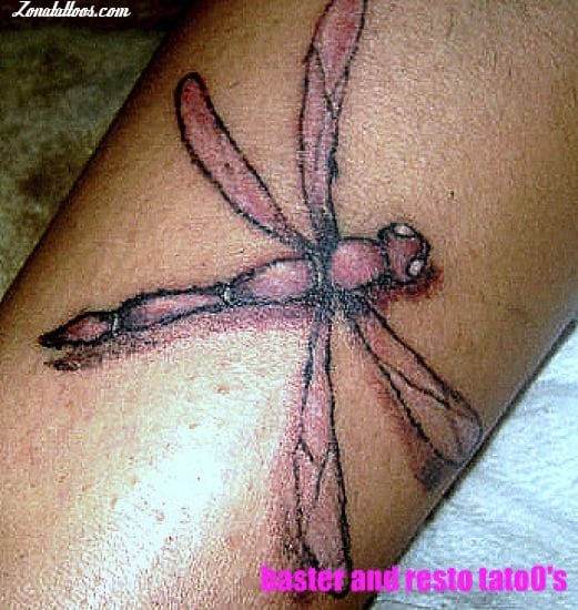 Tattoo photo Dragonflies, Insects