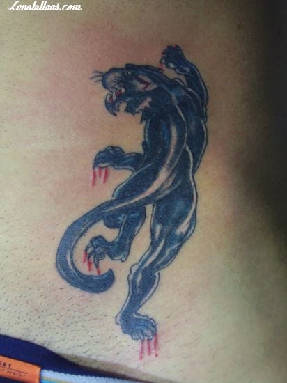 Tattoo photo Panthers, Animals