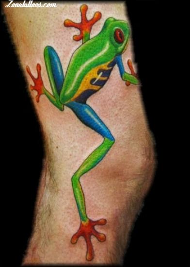 Tattoo photo Animals, Frogs