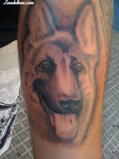 Tattoo photo Dogs, Animals