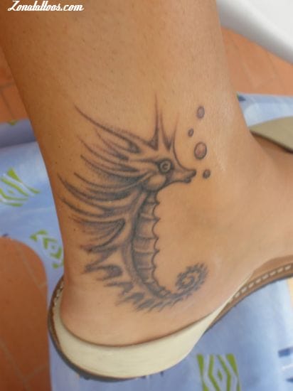 Tattoo photo Seahorses, Ankle, Animals