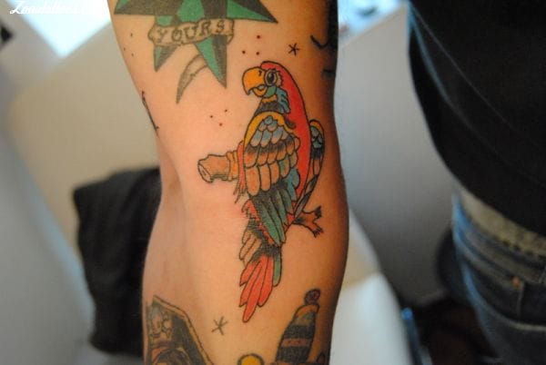 Foto de tatuaje Loros, Aves, Animales