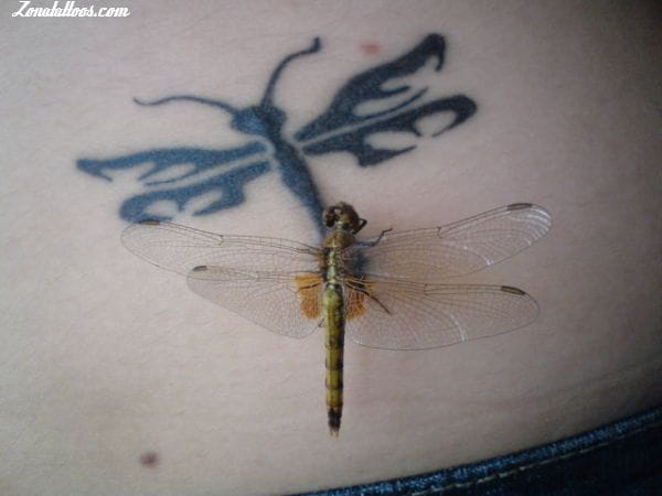 Tattoo photo Dragonflies, Insects