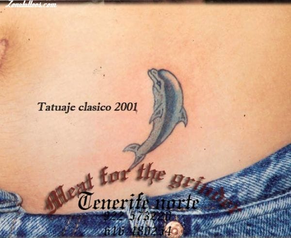 Tattoo photo Dolphins, Animals