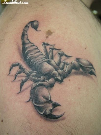 Tattoo photo Scorpions, Insects