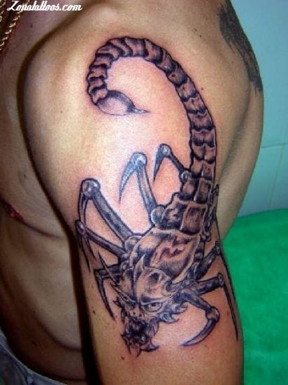 Tattoo photo Scorpions, Insects