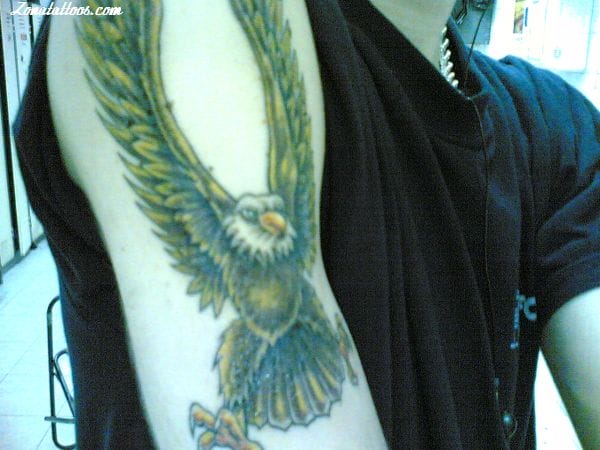 Foto de tatuaje Águilas, Aves, Animales