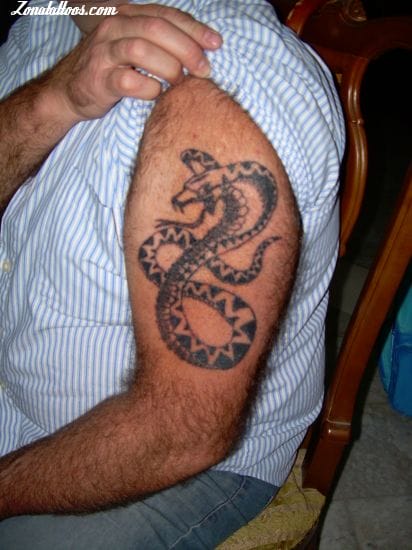 Tattoo photo Snakes, Animals