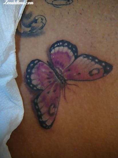 Foto de tatuaje Mariposas, Insectos