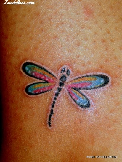 Foto de tatuaje Libélulas, Insectos