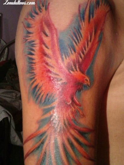 Tattoo photo Phoenix