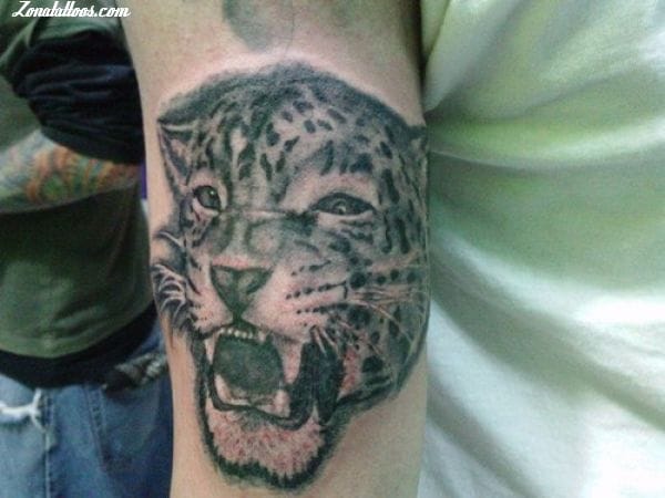 Foto de tatuaje Tigres