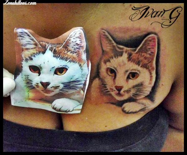 Foto de tatuaje Gatos, Animales