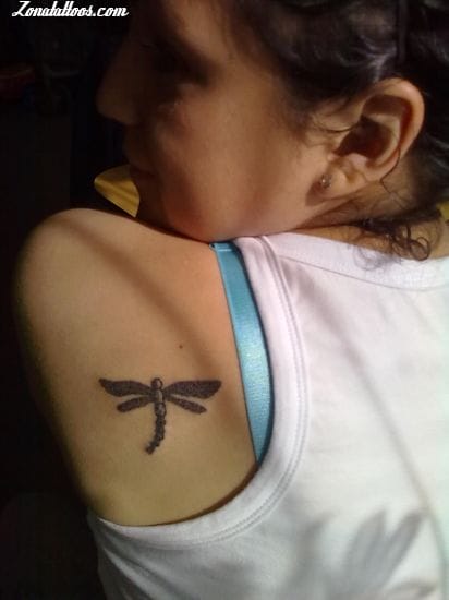 Tattoo photo Dragonflies, Insects