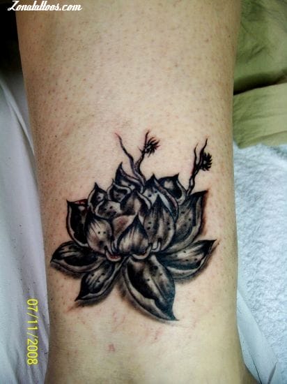 Tattoo photo Flowers, Lotus