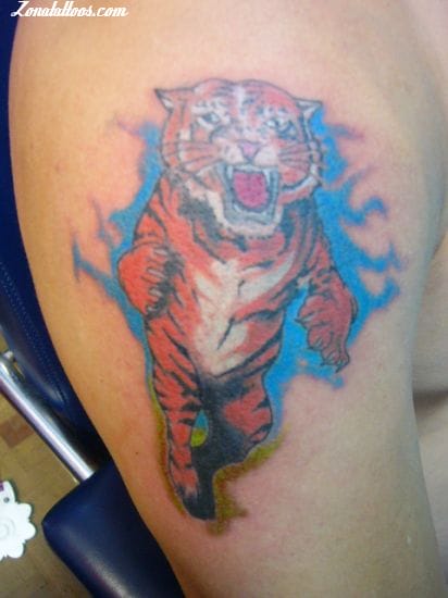 Foto de tatuaje Tigres, Animales