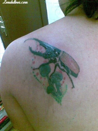 Foto de tatuaje Insectos, Escarabajos