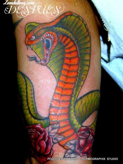 Tattoo photo Snakes