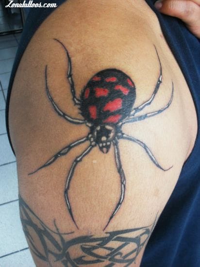 Foto de tatuaje Insectos, Arañas