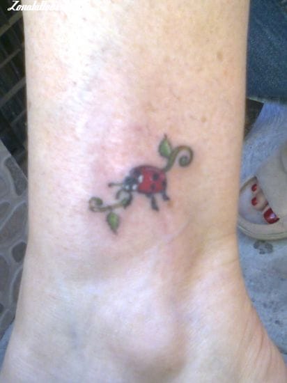 Foto de tatuaje Insectos, Mariquitas