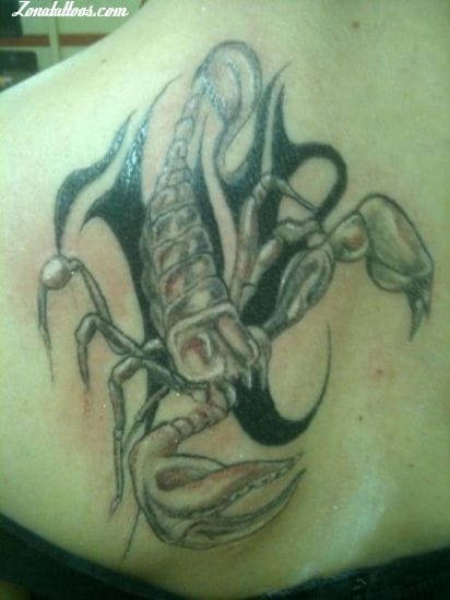 Tattoo photo Scorpions, Insects