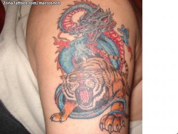 Tattoo of Tigers, Dragons
