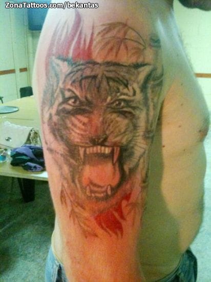 Foto de tatuaje Tigres, Animales