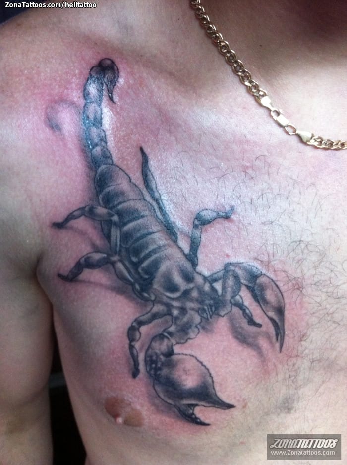 Foto de tatuaje Escorpiones, Insectos