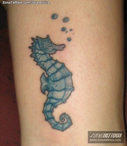 Foto de tatuaje Caballitos de mar, Animales