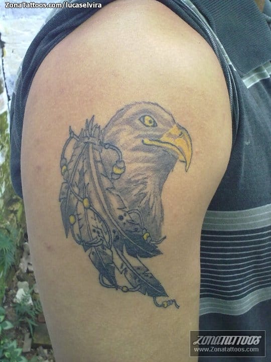 Foto de tatuaje Aves, Plumas