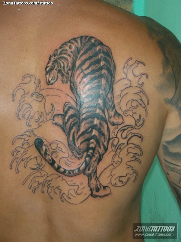 Tattoo photo Tigers, Animals, Back