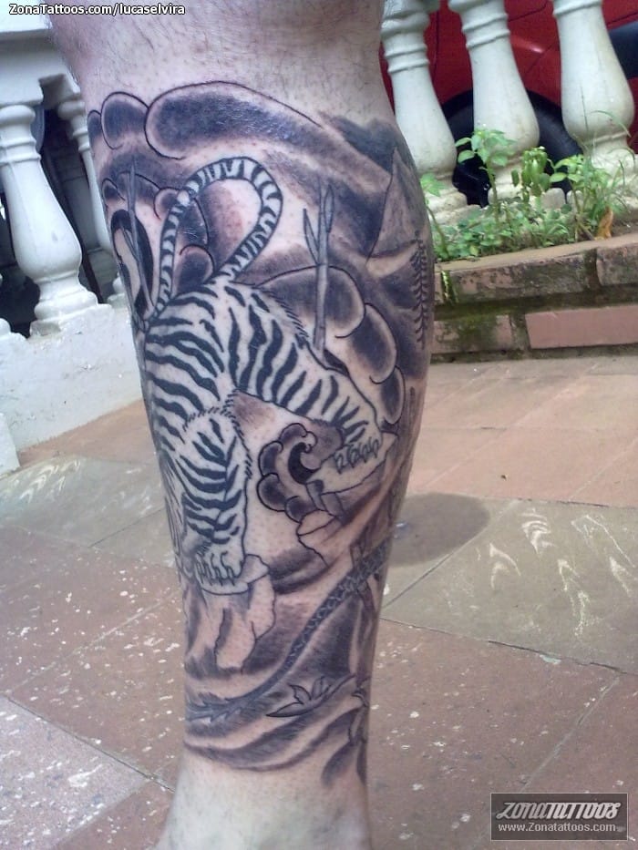 Tattoo of Tigers, Leg