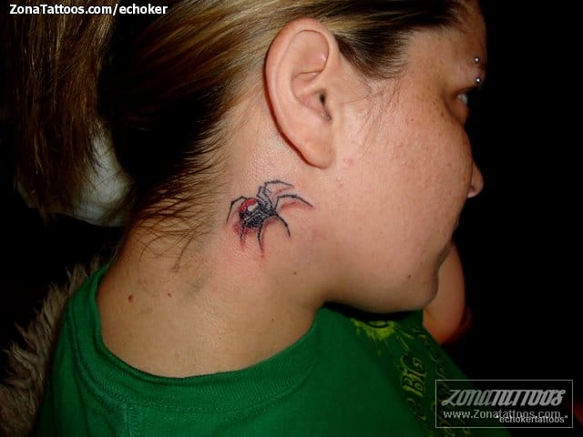 Foto de tatuaje Arañas, Insectos