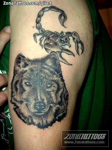 Tattoo photo Wolfs, Scorpions, Animals