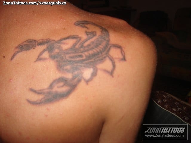 Tattoo photo Back, Scorpions, Insects