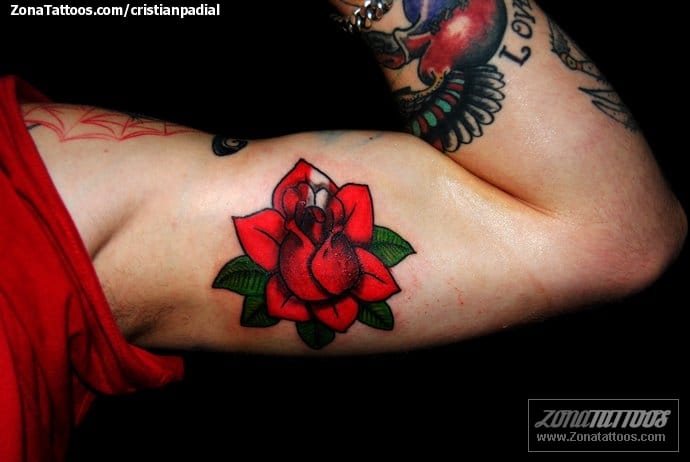 Tattoo photo Biceps, Flowers, Roses