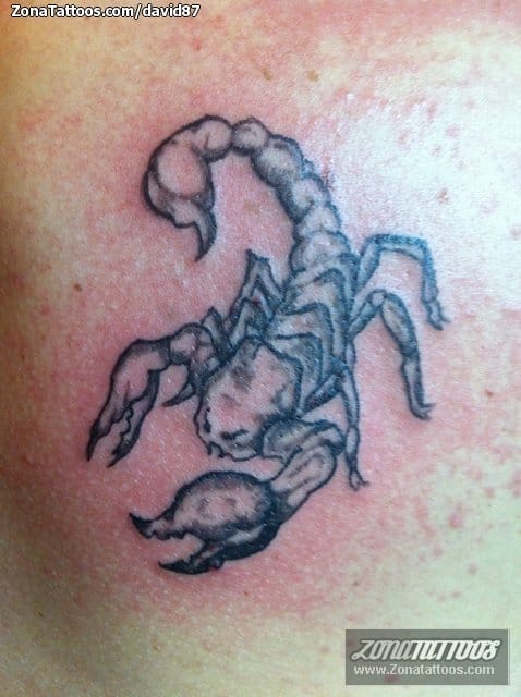 Tattoo photo Animals, Insects, Scorpions