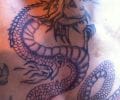 Tatuaje de david87