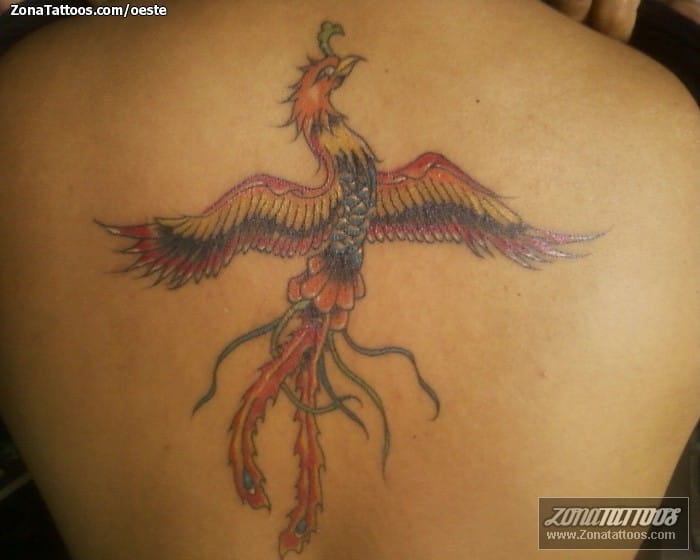 Tattoo photo Phoenix, Birds