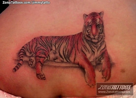 Tattoo photo Tigers, Animals