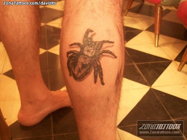 Tattoo photo Tarantulas, Insects, Calf