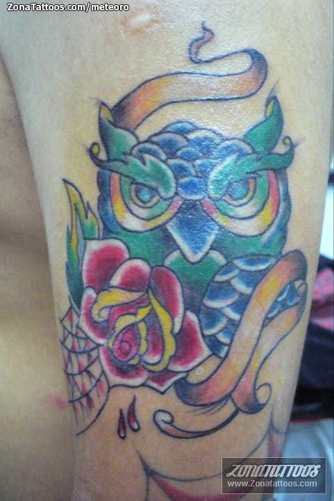 Tattoo photo Roses, Owls, Birds