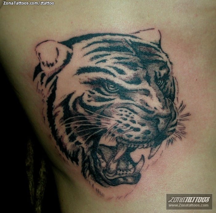 Foto de tatuaje Tigres