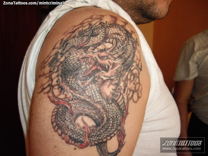 Foto de tatuaje Dragones, Hombro