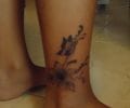 Tatuaje de Mae