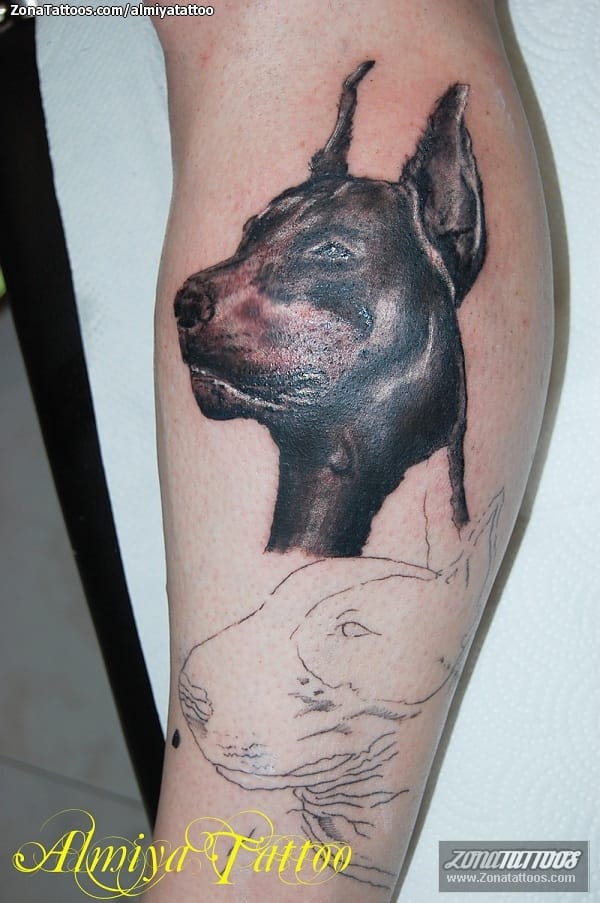 Foto de tatuaje Perros, Animales, Dóberman