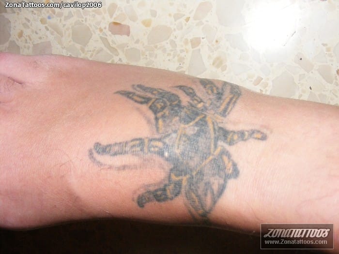 Tattoo photo Tarantulas, Insects